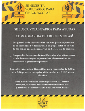 Seeking Crossing Guard